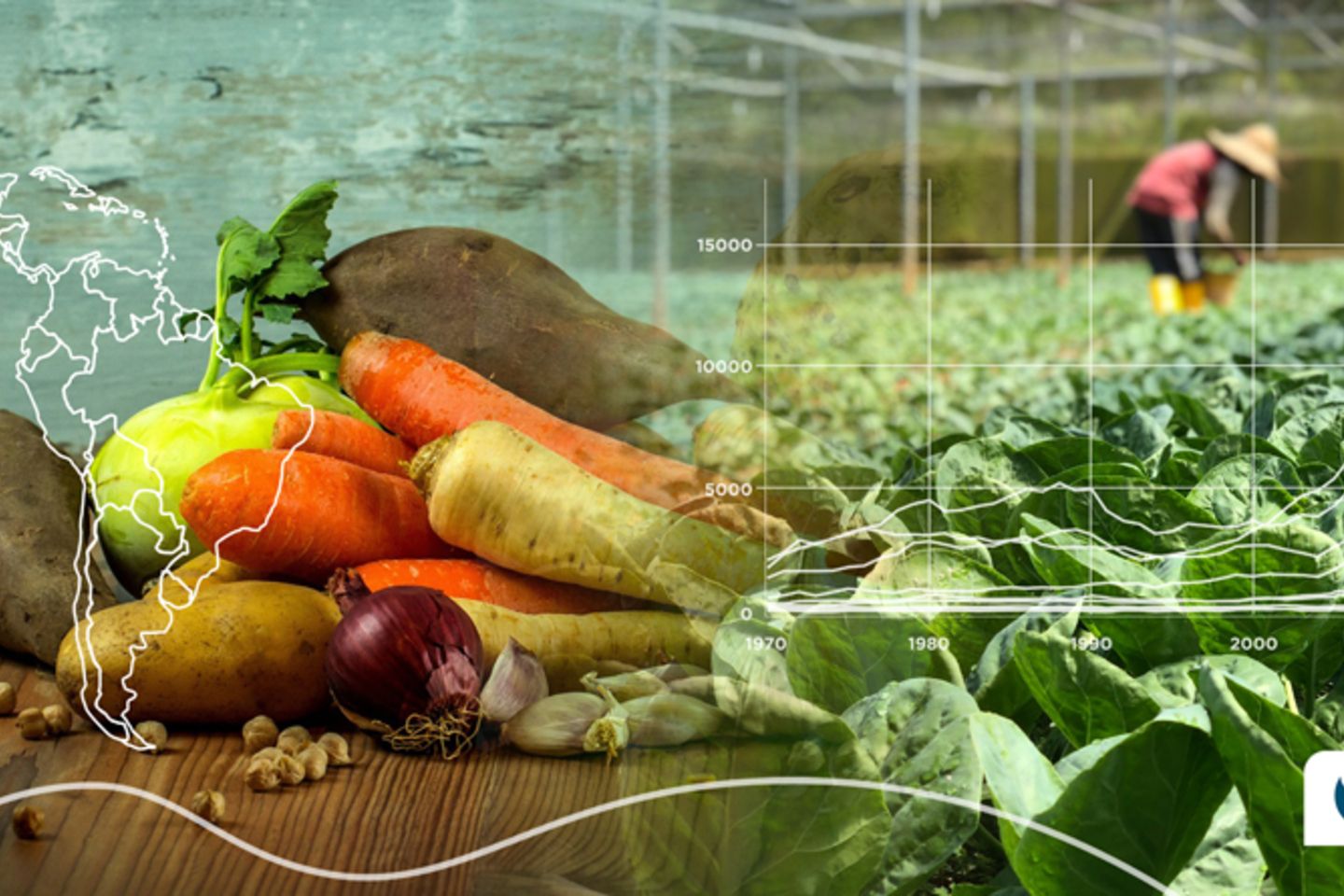 ilust seguridad alim