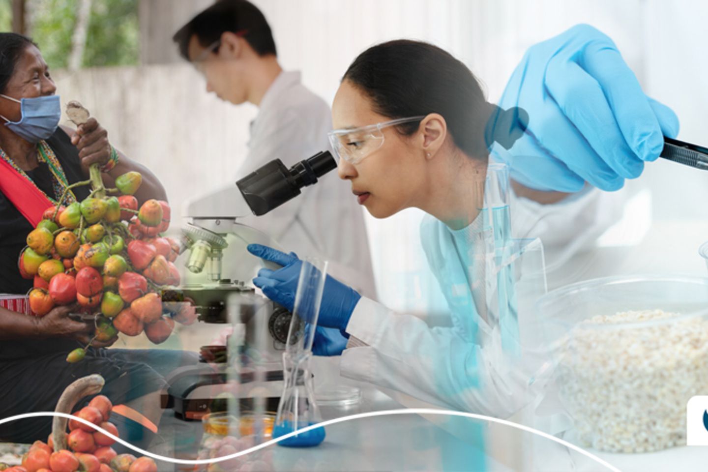 ilust seguridad alimentaria