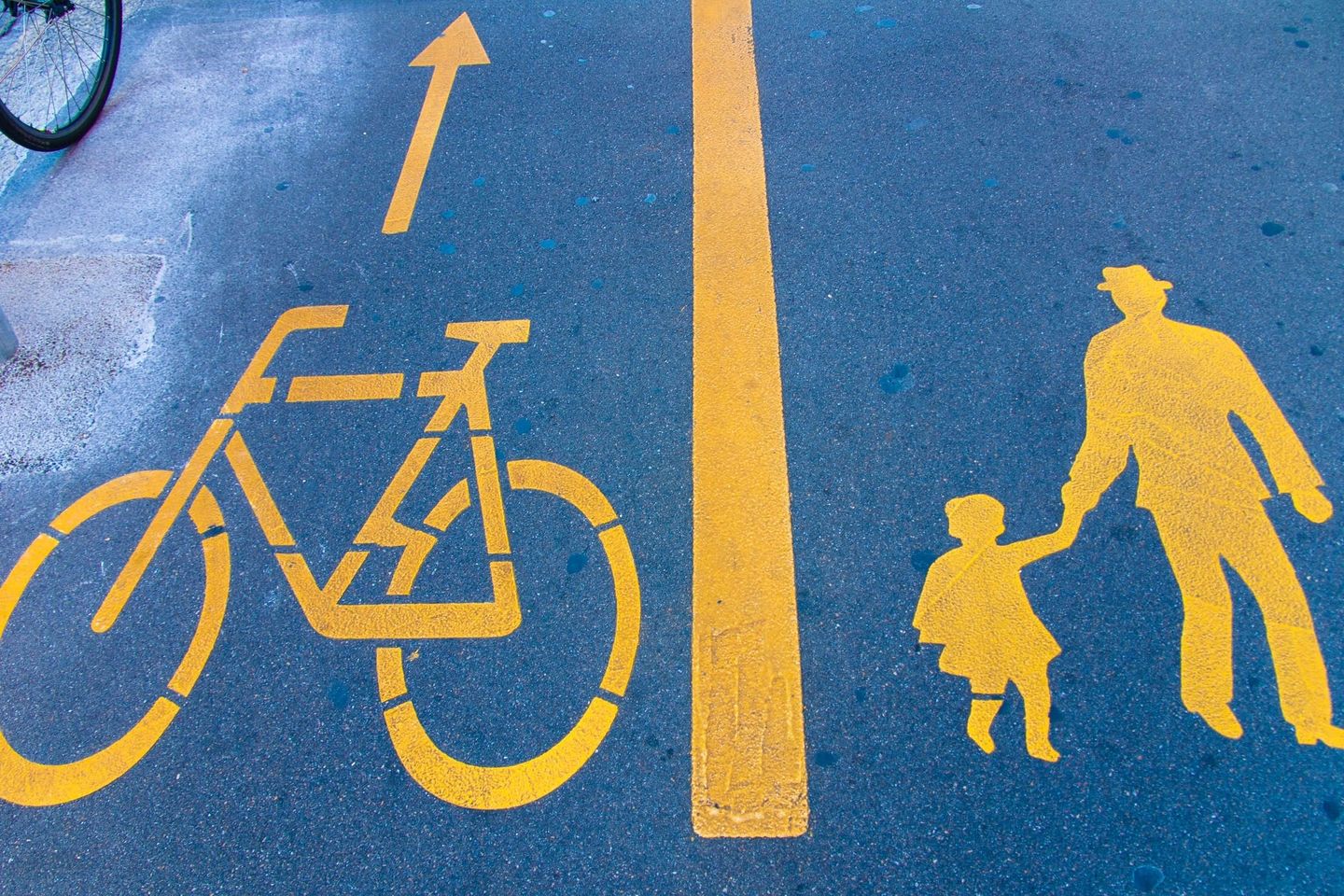 robert-ruggiero-fDl6vhet80I-unsplash-min