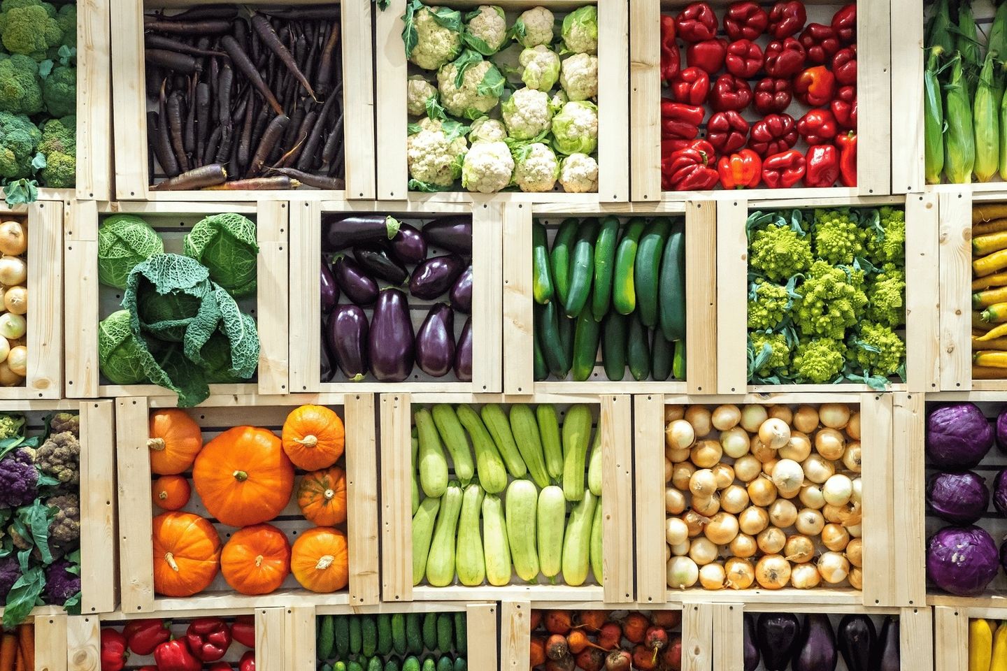 rubros alimenticios widescreen