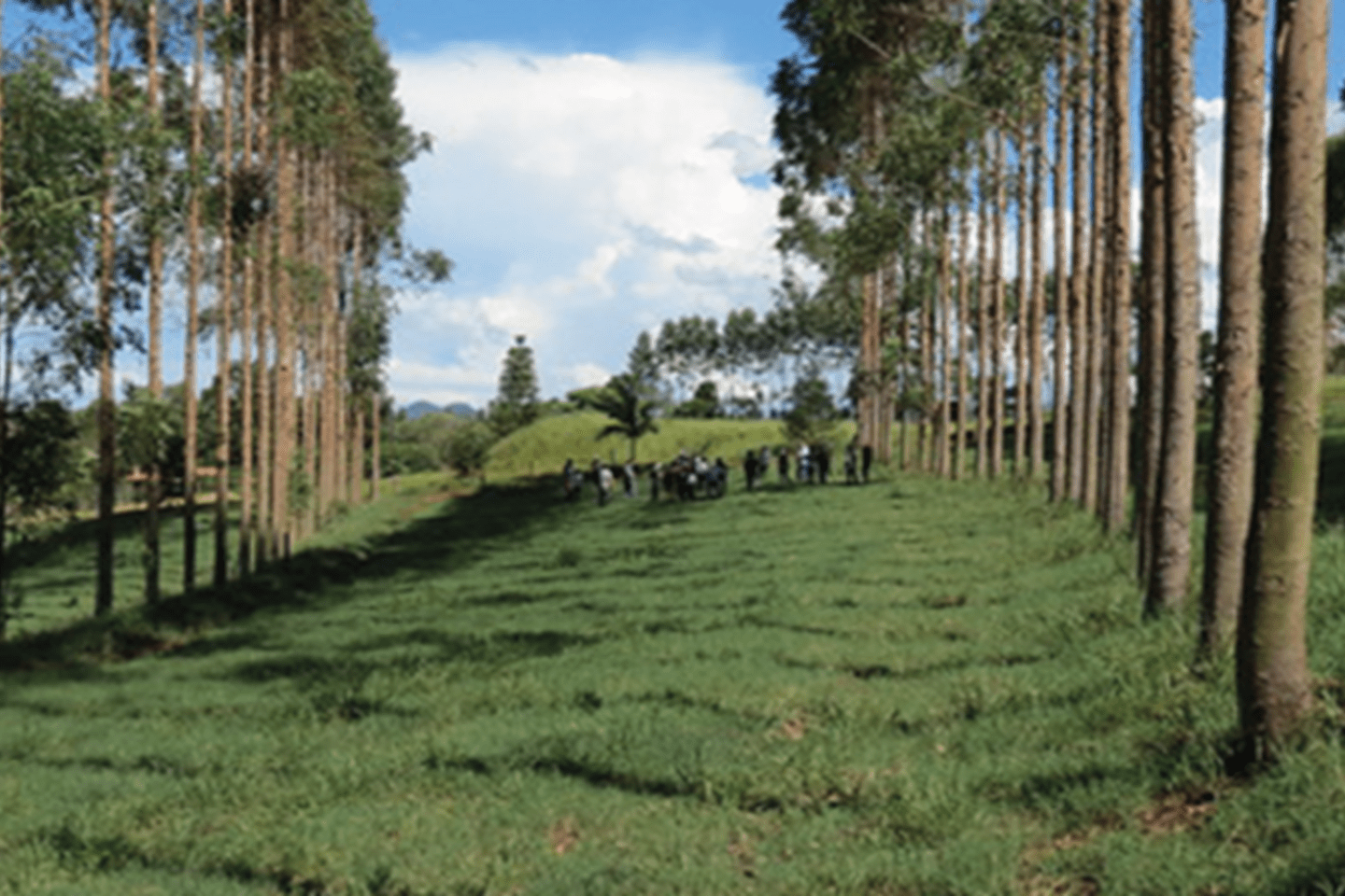 rural sustentavel capa