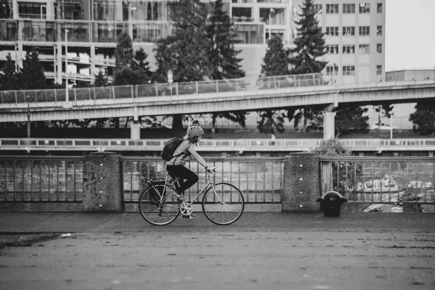 sean-benesh-vxC1MT7sVro-unsplash