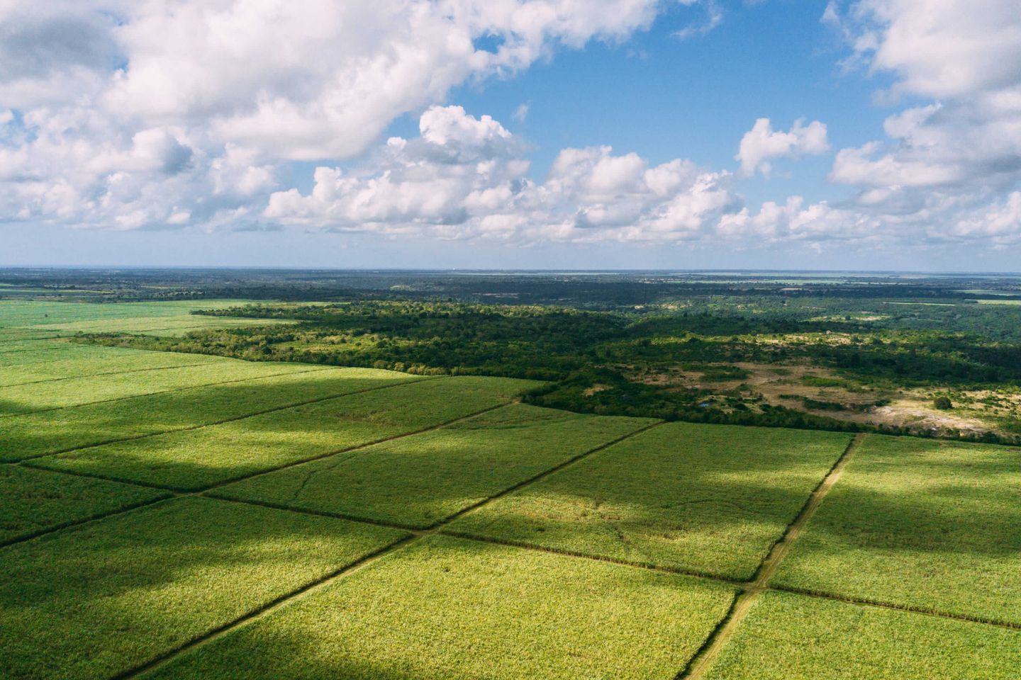 impacto productivo subsidios inteligentes agricultura