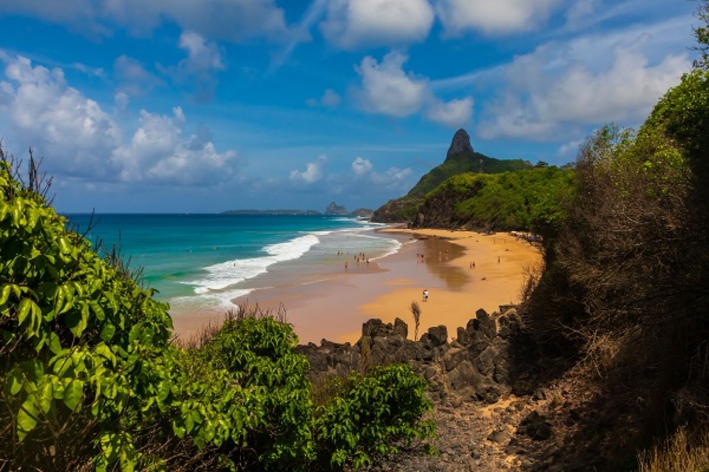 shutterstock_1461442523_2