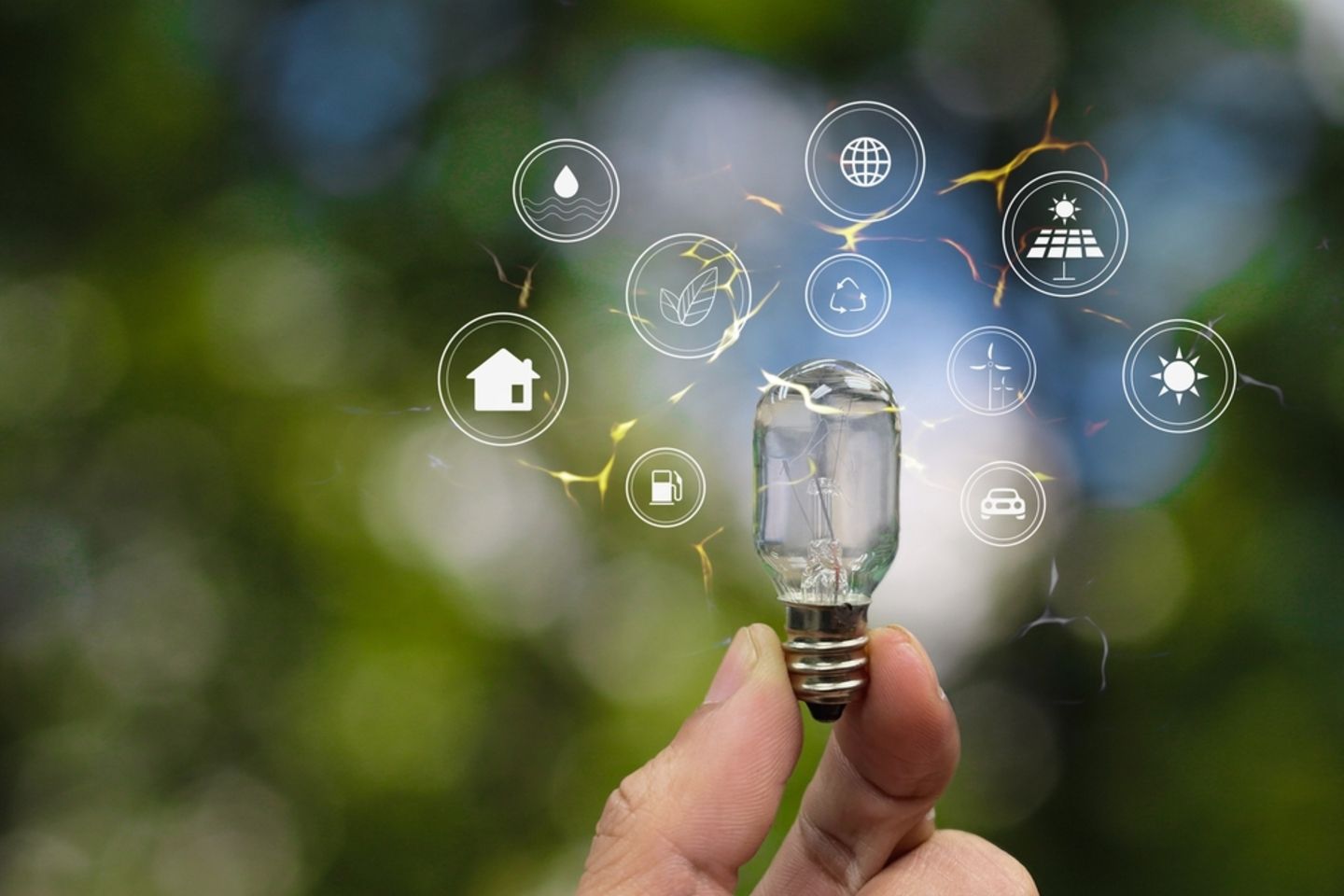Hand,Holding,A,Light,Bulb,With,Natural,Energy,Icon,Technology