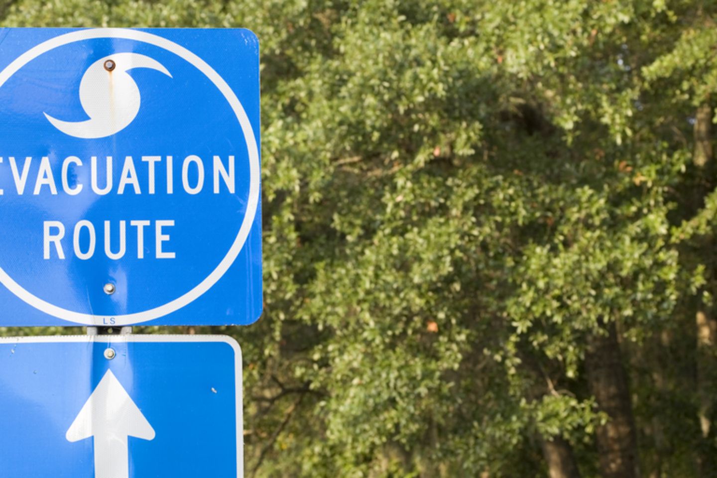 shutterstock_63507841