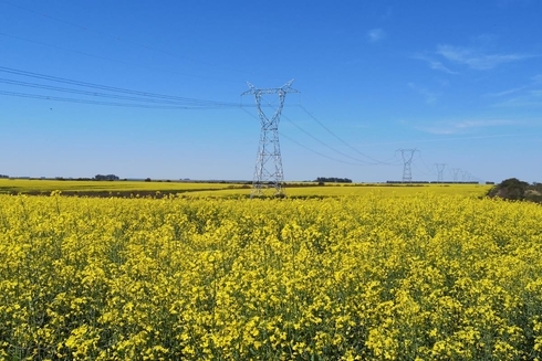 Torre de energía eléctrica en medio del campo. Desarrollo rural y económico - Banco Interamericano de Desarrollo - BID