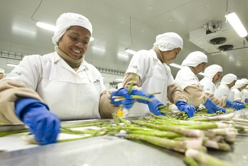 Mujeres manipulando alimentos en línea de producción. Desarrollo económico - Banco Interamericano de Desarrollo - BID 