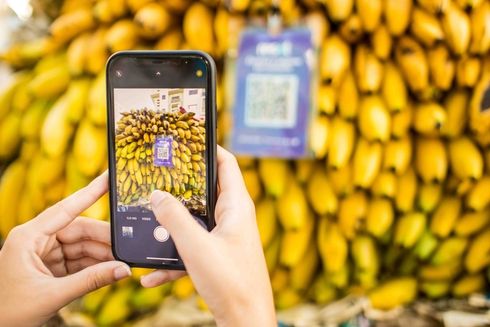 Persona tomando foto de un código QR para comprar bananos. Transformación digital - Banco Interamericano de Desarrollo - BID 