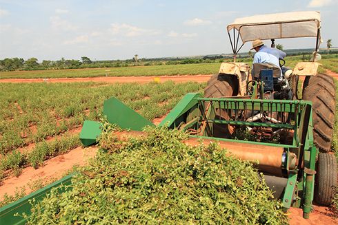 Operario en un tractor arando un campo sembrado. Agricultura e Industria - Banco Interamericano de Desarrollo - BID