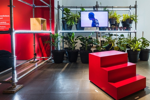 Exhibition showing plants a ladder and the silhouette of a man