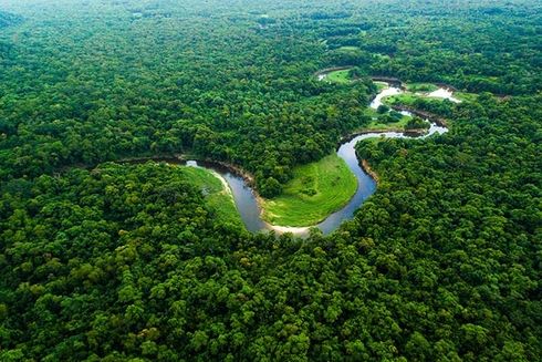 A river running through a forest. Social investment - Inter-American Development Bank - IDB