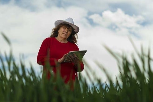 A woman in a hat holding a tablet. Regional Cooperation - Inter-American Development Bank - IDB