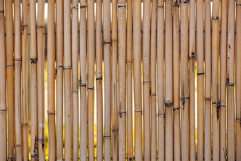 A close-up of a fence. Environmentally sustainable - Inter-American Development Bank - IDB