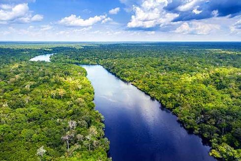 Panoramic view of a river in the middle of the jungle. Environment - Inter-American Development Bank - IDB