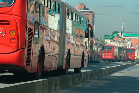 A group of red buses on a street