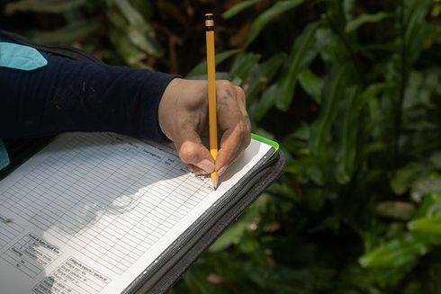 A person writing on a piece of paper