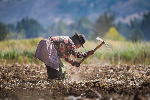 a woman digging in a field Agriculture and Employment - Inter-American Development Bank - IDB