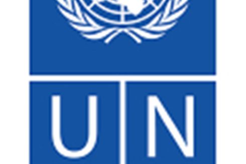 United Nations Development Program