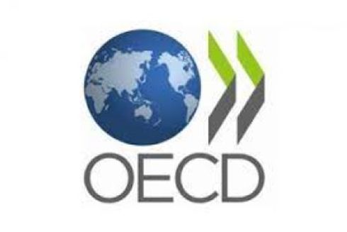 OECD Development Assistance Committee
