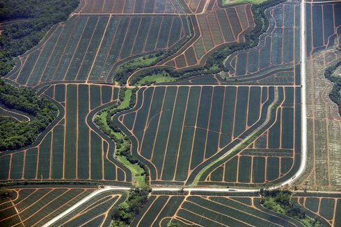 aerial view of a farm Infrastructure - Inter-American Development Bank - IDB