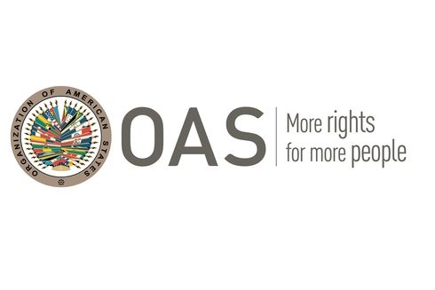 Logo of the Organization of American States. Healthcare - Inter-American Development Bank - IDB