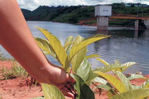 A hand holding a plant by a body of water. Entrepreneurship - Inter-American Development Bank - IDB