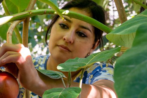 a person holding a fruit in a tree Education - Inter-American Development Bank - IDB