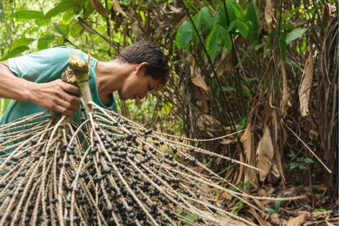  Farmer Working - Sustainable - Inter American Development Bank - IDB