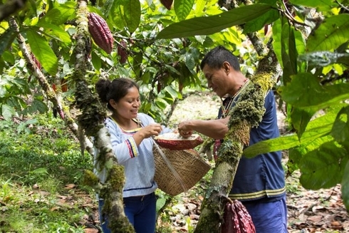 Two persons working together - Amazonia - Inter American Development Bank - IDB