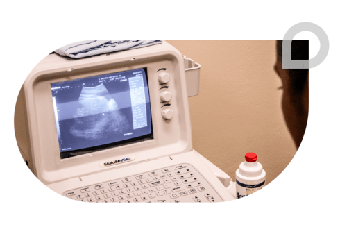 Ultrasound machine with a nurse - Story - Greater Access to Potable Water - Inter American Development Bank - IDB