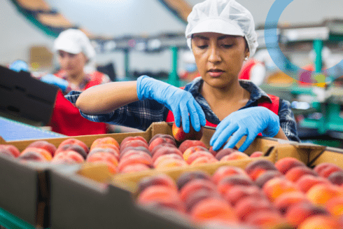 A woman selecting fresh peaches at a facility, showcasing sustainable food security practices supported by IDB's projects - Inter-American Development Bank - IDB - Development Effectiveness