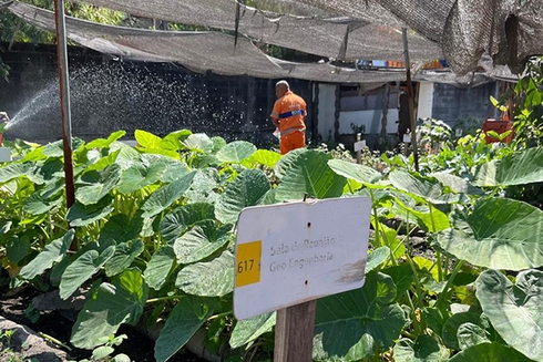 Male farm worker with his back turned on a farm with a sign - Inter American Development Bank - Water and Sanitation