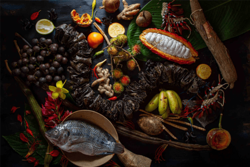 Mosaic of fruits, vegetables and fish on a dark background - Inter American Development Bank - Amazonia