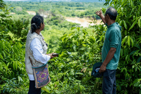 Indigenous man looking at the jungle in the company of another - Inter American Development Bank - Amazonia