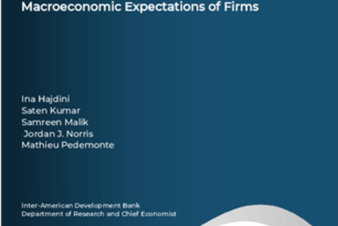 Cover for Supply Chain Networks and the Macroeconomic Expectations of Firms - Inter American Development Bank - IDB