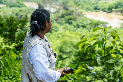 Indigenous women looking to a forest - Inter American Development Bank - IDB Biodiversity