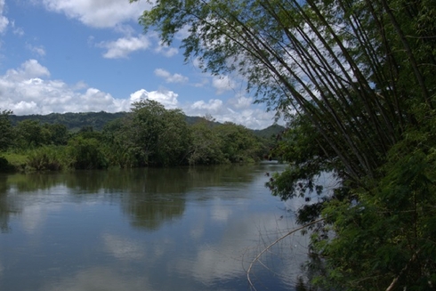 Lake and forest panoramic view - Inter American Development Bank - IDB Biodiversity