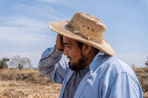 Farmer adjusting his hat with his right hand and a crop in the background - Inter American Development Bank - Social Protection