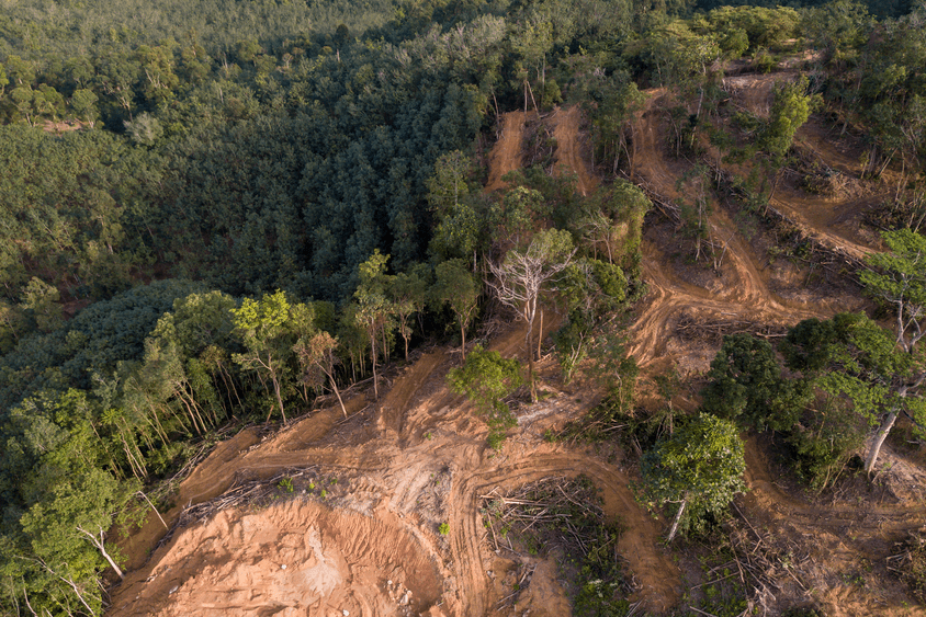 Aerial view of forest with eroded soil, deforestation - Inter American Development Bank - IDB Biodiversity