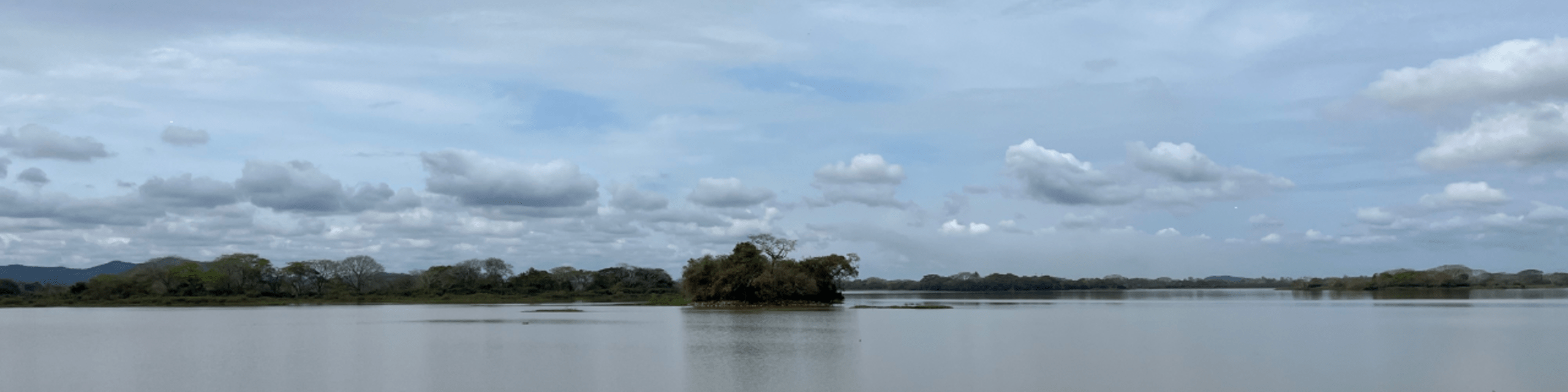 La Bahía de Parita: soluciones locales para proteger el agua y la biodiversidad