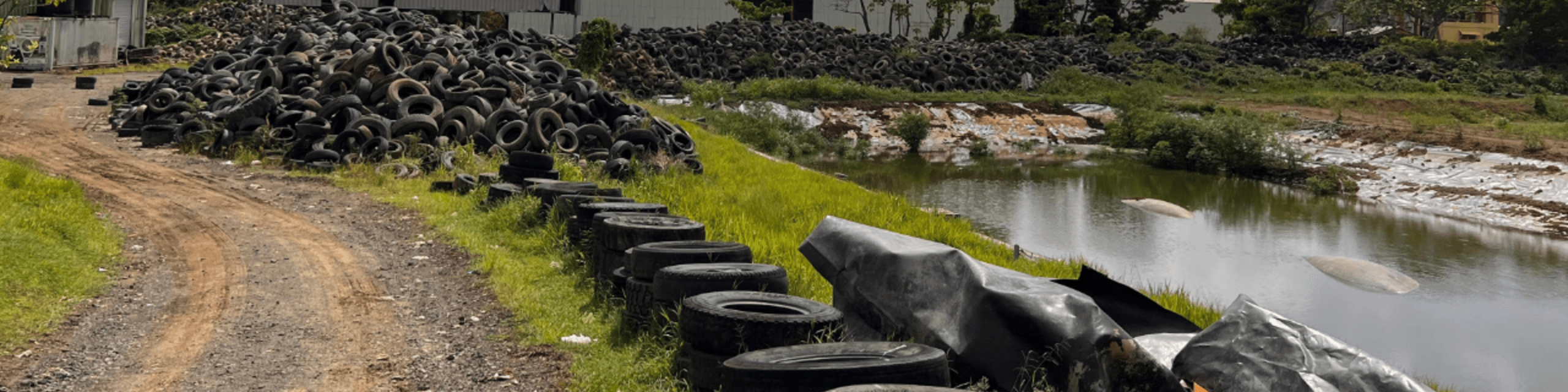 Transforming Hazardous Waste into a Circular Economy in the Caribbean 