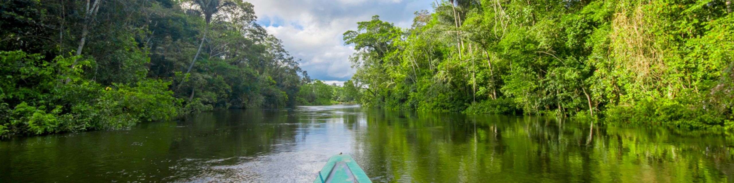 O trilema amazônico: por que a economia, a natureza e as pessoas devem avançar juntas