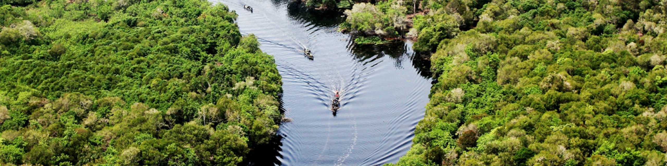 Amazonia: What Is the Role for the Private Sector?