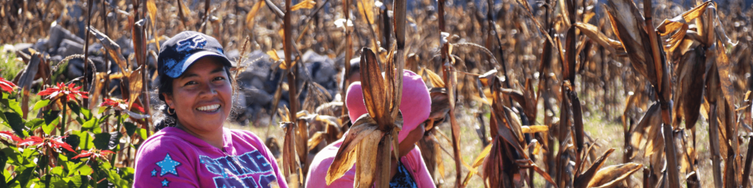 La paradoja de las mujeres rurales en la seguridad alimentaria de América Latina y el Caribe