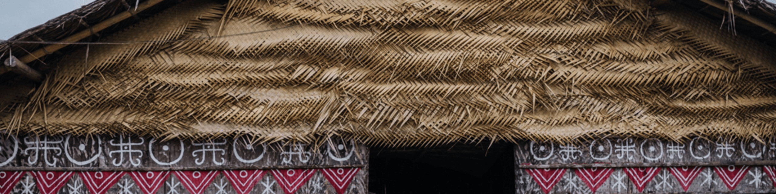 O que o urbanismo amazônico ancestral pode ensinar às cidades de hoje