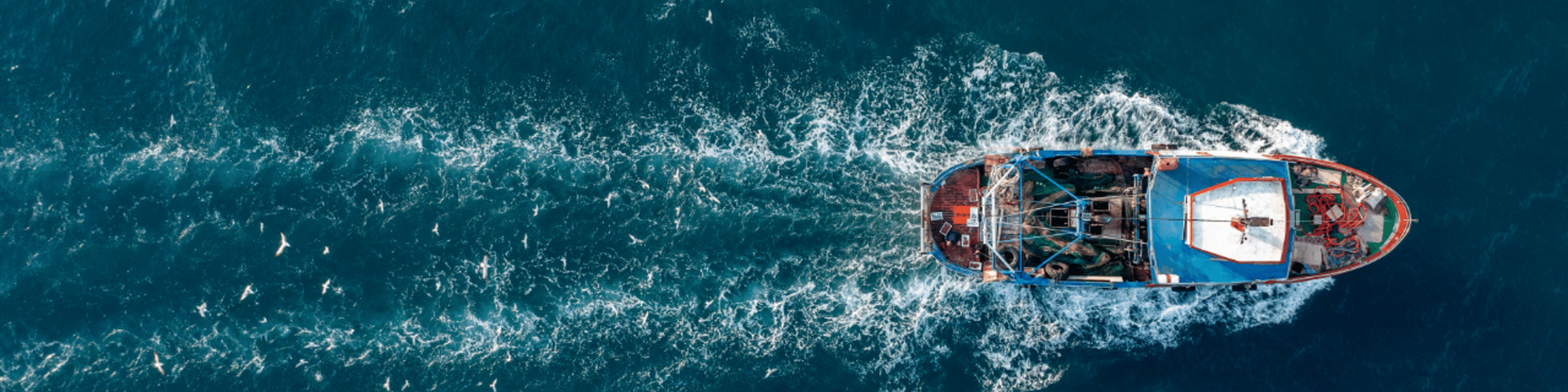 Building Momentum for Nature Finance in Latin America and the Caribbean 