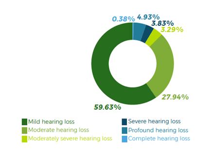 A doughnut graph showing degrees of hearing loss among students.