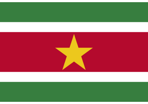 Suriname flag - Inter American Development Bank - IDB