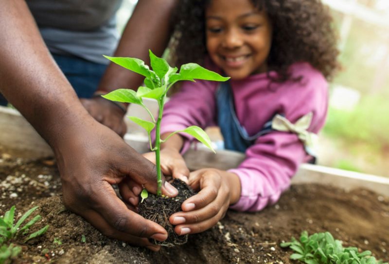 a child and a person planting a plant Climate change - Inter-American Development Bank - IDB